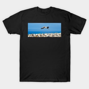 gannet flying over colony, T-Shirt